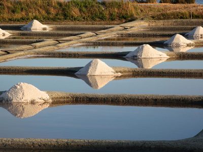 salt production solar evaporation